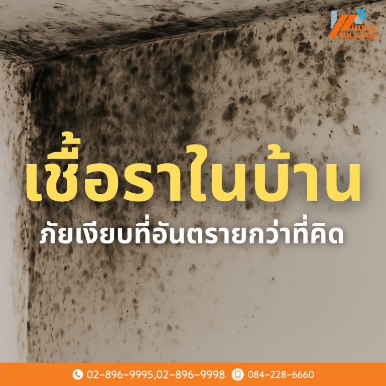 ฝ้าดำ ผนังขึ้นรา = ไม่ใช่แค่เรื่องความสวยงาม!